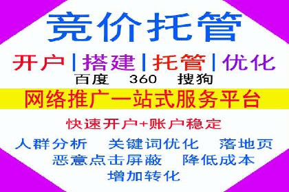 sem代运营机构成功案例：打造高效广告投放策略